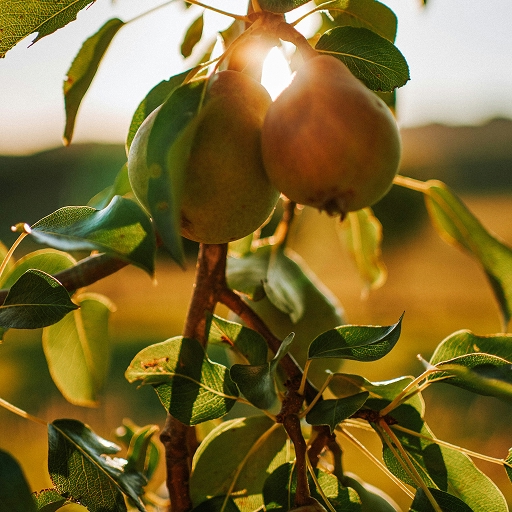 Саджанці: Як обрати, посадити та доглядати за майбутнім урожаєм