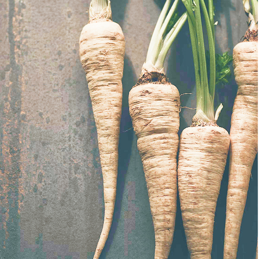 Пастернак: забутий коренеплід, який варто повернути на кухню