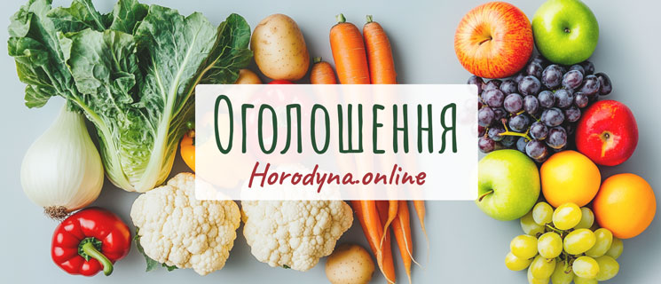 Просування ваших оголошень за межами сайту Horodyna.online