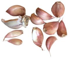 Ярий часник Ярус (Jaruś) для посадки - 1000 грам