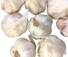 Ярий часник Ярус (Jaruś) для посадки - 1000 грам