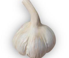 Ярий часник Ярус (Jaruś) для посадки - 1000 грам