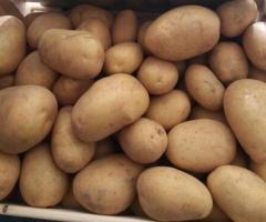 Насіннева картопля Лусінда - 5кг